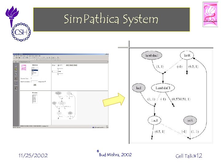 Sim. Pathica System 11/25/2002 ©Bud Mishra, 2002 Cell Talk» 12 