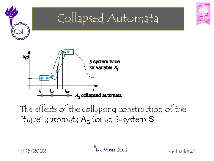 Collapsed Automata The effects of the collapsing construction of the “trace” automata AS for