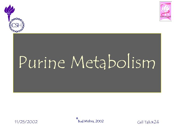 Purine Metabolism 11/25/2002 ©Bud Mishra, 2002 Cell Talk» 24 