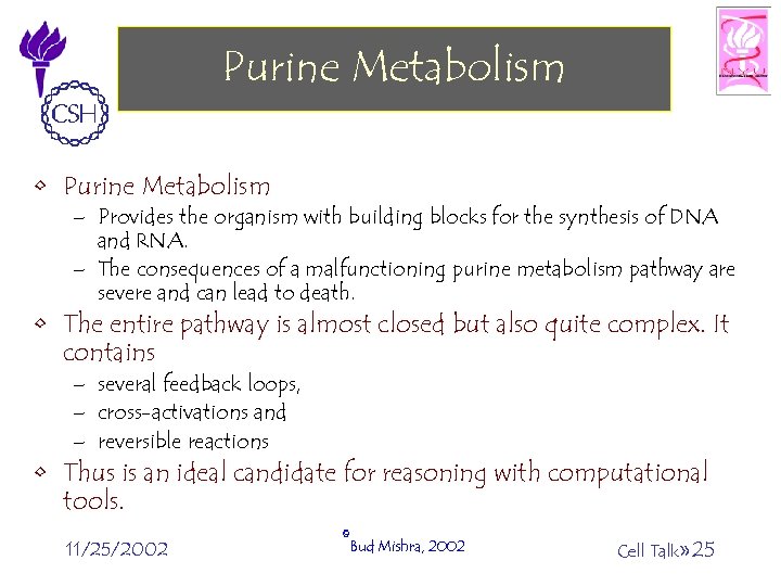 Purine Metabolism • Purine Metabolism – Provides the organism with building blocks for the