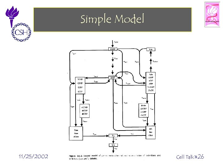 Simple Model 11/25/2002 ©Bud Mishra, 2002 Cell Talk» 26 