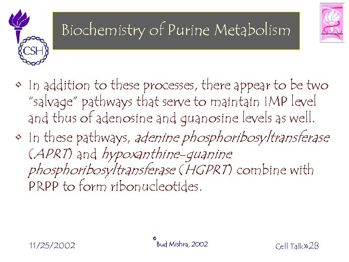 Biochemistry of Purine Metabolism • In addition to these processes, there appear to be