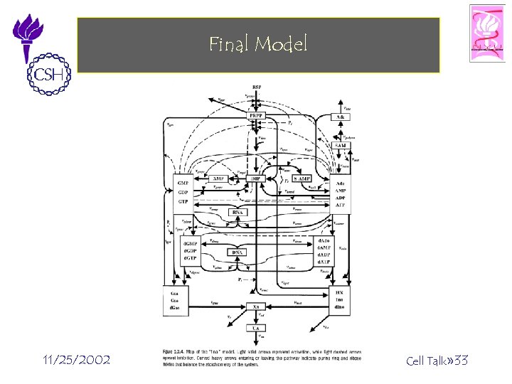 Final Model 11/25/2002 ©Bud Mishra, 2002 Cell Talk» 33 