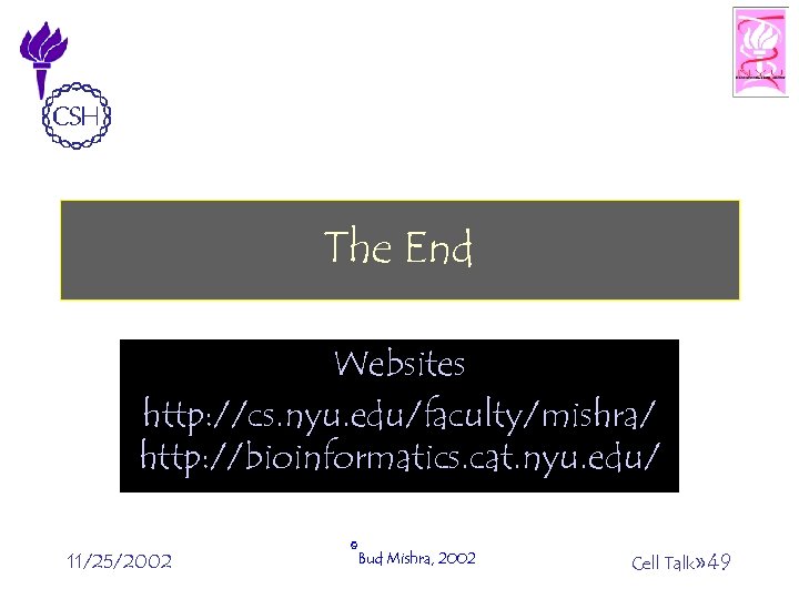 The End Websites http: //cs. nyu. edu/faculty/mishra/ http: //bioinformatics. cat. nyu. edu/ 11/25/2002 ©Bud