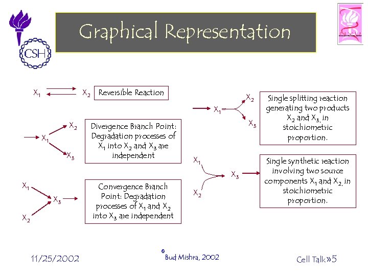 Graphical Representation X 2 Reversible Reaction X 1 X 2 X 1 X 3