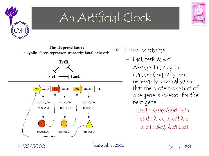 An Artificial Clock • Three proteins: – Lac. I, tet. R & l c.