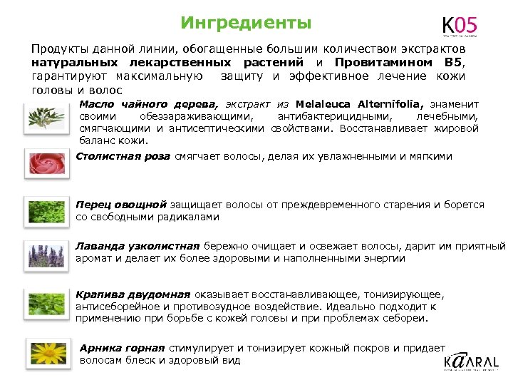 Ингредиенты Продукты данной линии, обогащенные большим количеством экстрактов натуральных лекарственных растений и Провитамином В