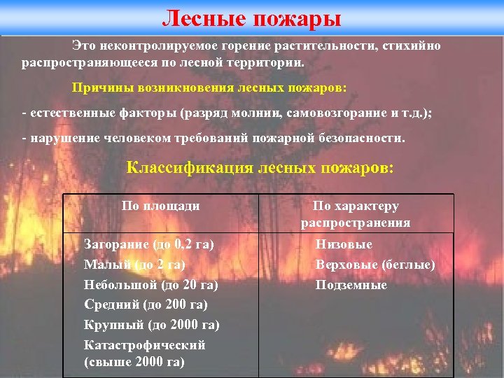 Лесные пожары Это неконтролируемое горение растительности, стихийно распространяющееся по лесной территории. Причины возникновения лесных