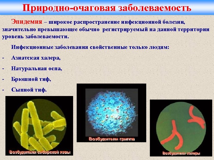 Природно-очаговая заболеваемость Эпидемия – широкое распространение инфекционной болезни, значительно превышающее обычно регистрируемый на данной