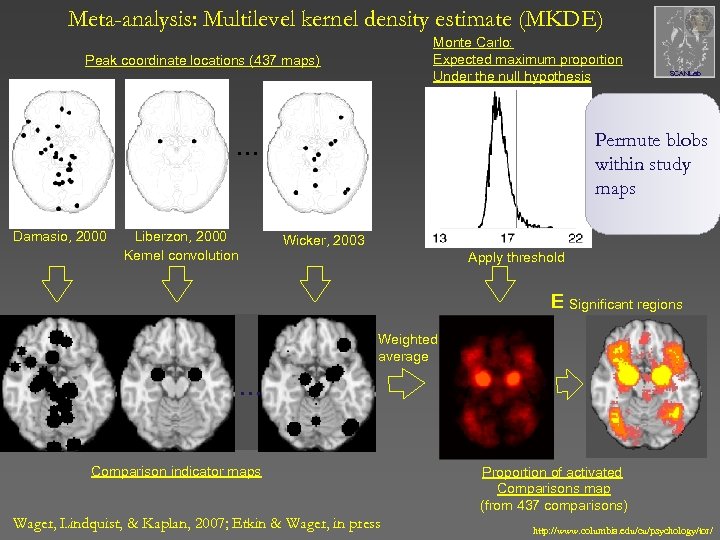 Meta-analysis: Multilevel kernel density estimate (MKDE) Monte Carlo: Expected maximum proportion Under the null