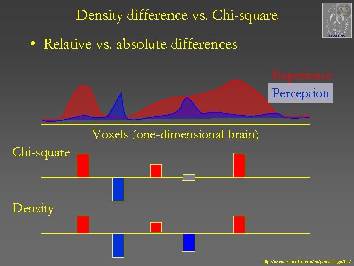 Density difference vs. Chi-square • Relative vs. absolute differences SCANLab Experience Perception Voxels (one-dimensional