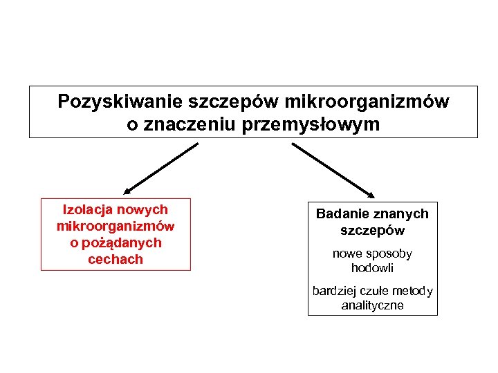 Pozyskiwanie szczepów mikroorganizmów o znaczeniu przemysłowym Izolacja nowych mikroorganizmów o pożądanych cechach Badanie znanych