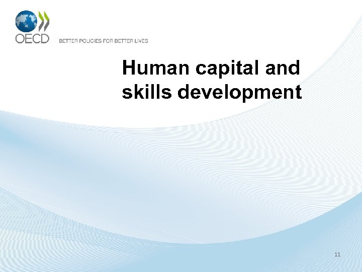 Human capital and skills development 11 