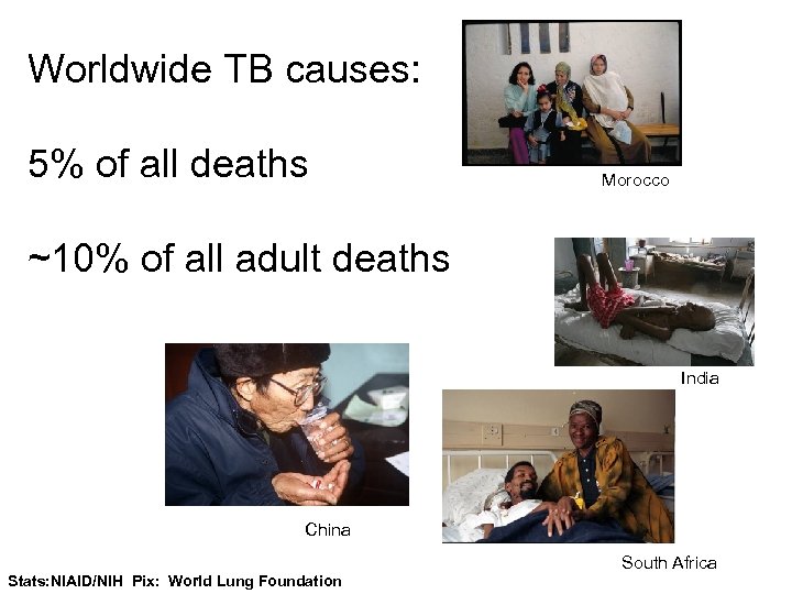 Worldwide TB causes: 5% of all deaths Morocco ~10% of all adult deaths India