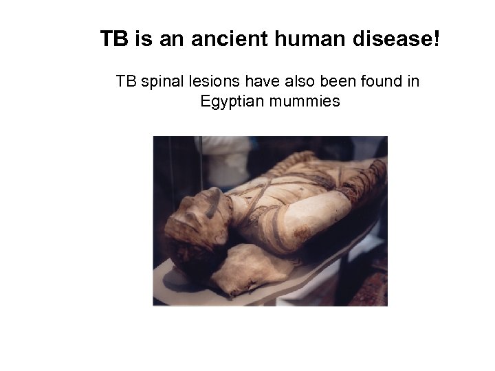 TB is an ancient human disease! TB spinal lesions have also been found in