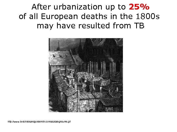 After urbanization up to 25% of all European deaths in the 1800 s may