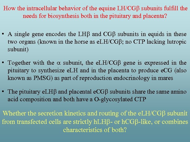  How the intracellular behavior of the equine LH/CG subunits fulfill the needs for