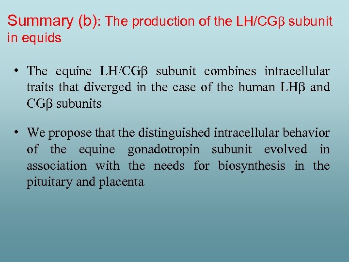 Summary (b): The production of the LH/CG subunit in equids • The equine LH/CG