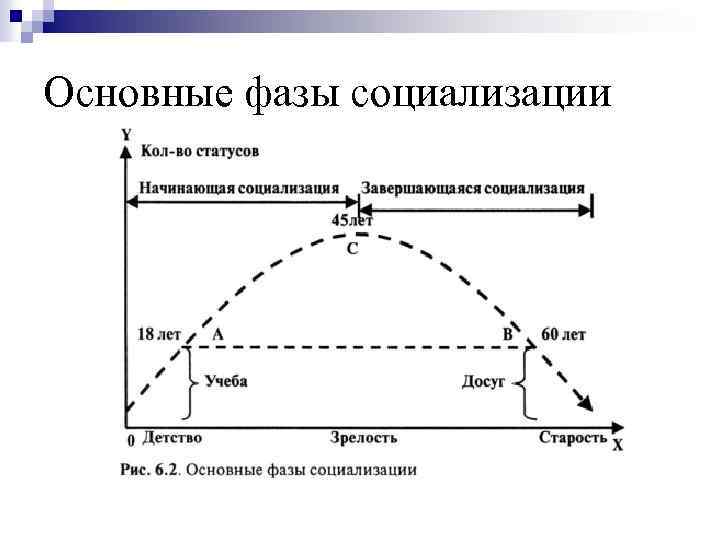 Основная фаза. Фаза социализации схема. Две фазы социализации. Укажите две фазы социализации. Три основные фазы социализации.