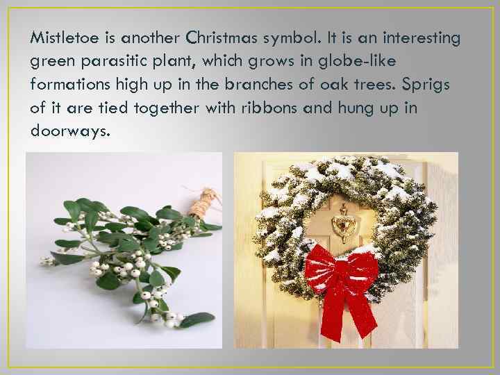 Mistletoe is another Christmas symbol. It is an interesting green parasitic plant, which grows