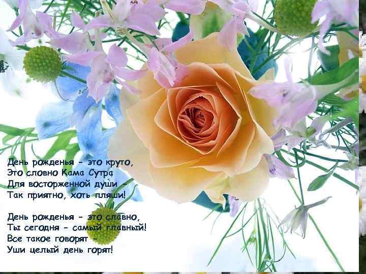 День рожденья - это круто, Это словно Кама Сутра Для восторженной души Так приятно,