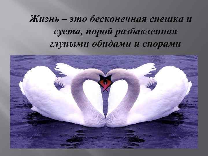 Жизнь – это бесконечная спешка и суета, порой разбавленная глупыми обидами и спорами 