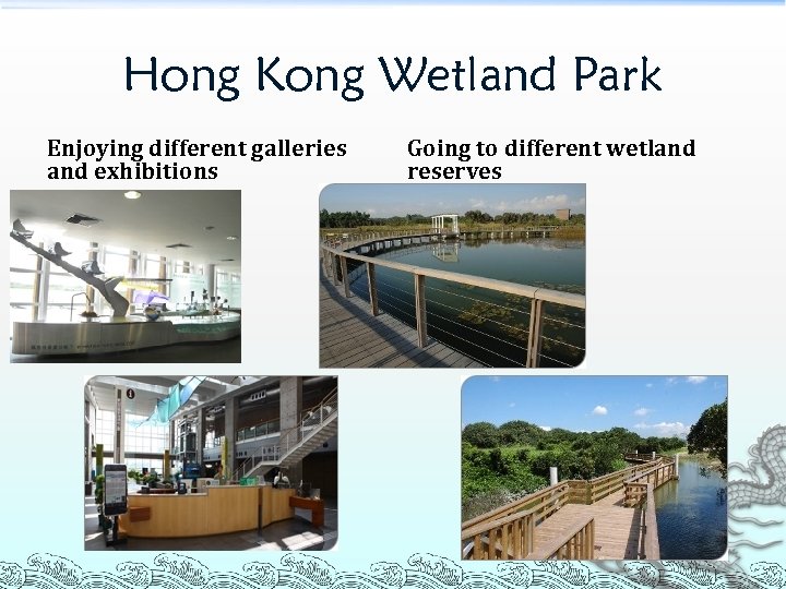 Hong Kong Wetland Park Enjoying different galleries and exhibitions Going to different wetland reserves