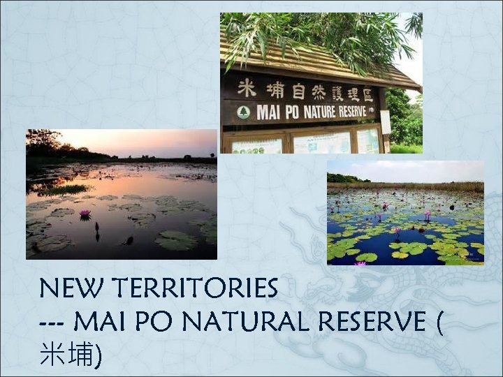 NEW TERRITORIES --- MAI PO NATURAL RESERVE ( 米埔) 