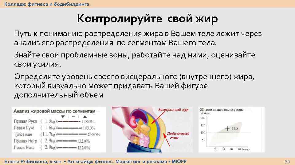 Колледж фитнеса и бодибилдинга Контролируйте свой жир Путь к пониманию распределения жира в Вашем