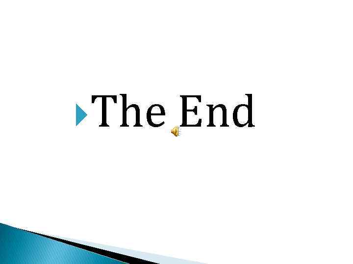  The End 