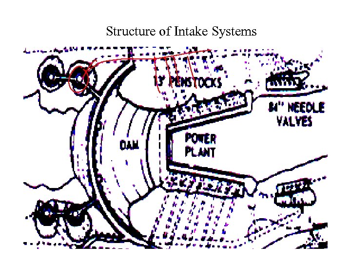 Structure of Intake Systems 