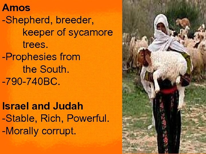 Amos -Shepherd, breeder, keeper of sycamore trees. -Prophesies from the South. -790 -740 BC.