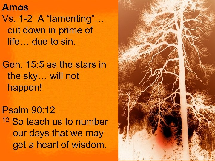 Amos Vs. 1 -2 A “lamenting”… cut down in prime of life… due to