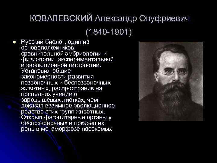 КОВАЛЕВСКИЙ Александр Онуфриевич (1840 -1901) l Русский биолог, один из основоположников сравнительной эмбриологии