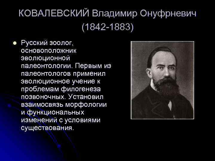 Охарактеризуйте вклад палеонтологии в понимание картины эволюционного процесса