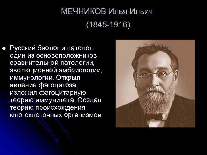 МЕЧНИКОВ Илья Ильич (1845 -1916) l Русский биолог и патолог, один из основоположников сравнительной