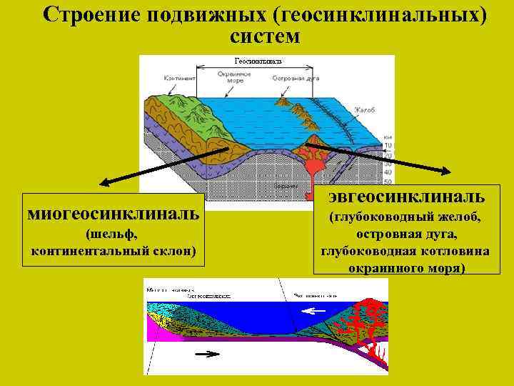 Обозначьте устойчивые участки земной коры и складчатые пояса контурная карта по географии 8 класс