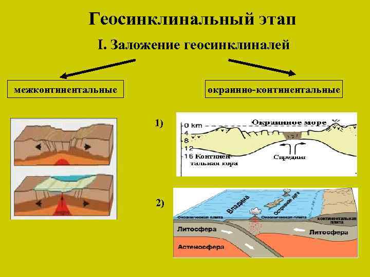 Геосинклинальный этап I. Заложение геосинклиналей окраинно-континентальные межконтинентальные 1) 2) 