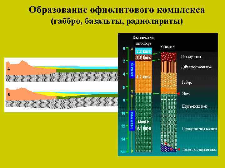 Образование офиолитового комплекса (габбро, базальты, радиоляриты) 