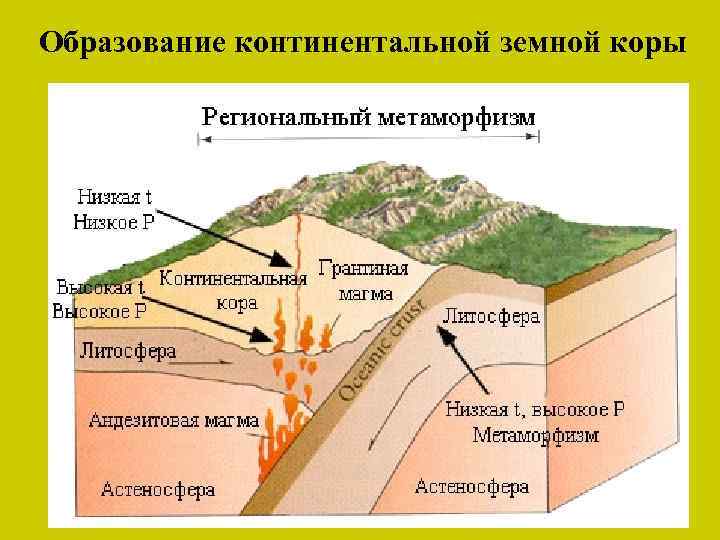 На каком рисунке показано столкновение плит с океанической и континентальной земной корой