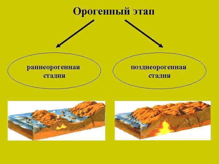 Орогенный этап раннеорогенная стадия позднеорогенная стадия 