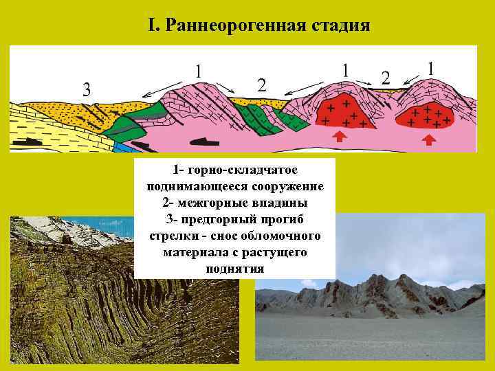 I. Раннеорогенная стадия 1 - горно-складчатое поднимающееся сооружение 2 - межгорные впадины 3 -