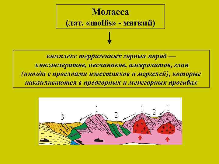 Моласса (лат. «mollis» - мягкий) комплекс терригенных горных пород — конгломератов, песчаников, алевролитов, глин