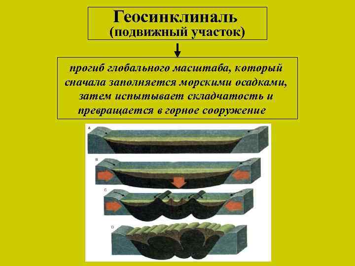 Геосинклиналь (подвижный участок) прогиб глобального масштаба, который сначала заполняется морскими осадками, затем испытывает складчатость