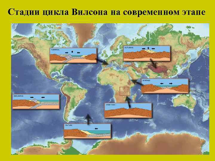 Стадии цикла Вилсона на современном этапе 