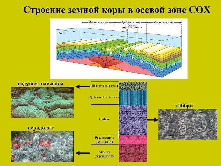 Зоны срединно океанических хребтов