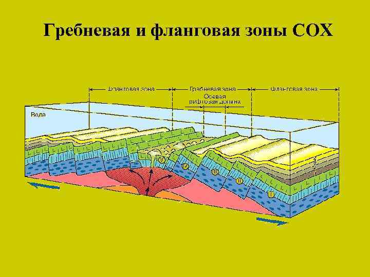 Зоны срединно океанических хребтов