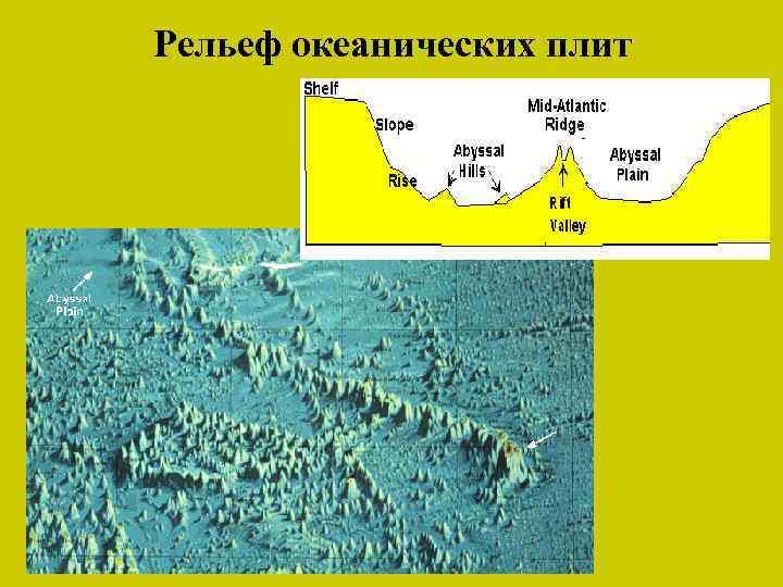 Рельеф океанических плит 