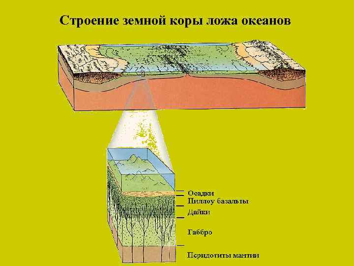 Тектоническое строение земной коры