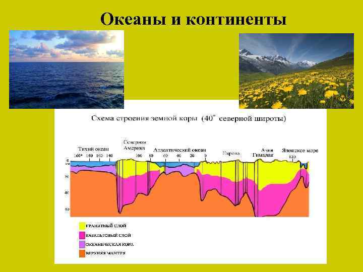 Определить каким тектоническим структурам. Тектонические структуры океанов. Главные тектонические структуры океанов. Основные типы тектонических структур. Тектоническая структура по Эрам.